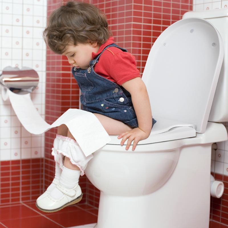 TODOT Abattant WC Familial Forme en D, Lunette de Toilette avec Siège Enfant Magnétique, Frein de Chute et Charnière Réglable, Siège de Toilette pour Adultes et Enfants, Démontage Rapide — vignette 8